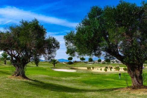 d5f5f4ea2e707c5f5f4ea2e801d