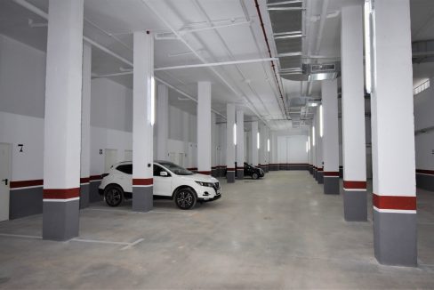 d5f5f65a2ee4645f5f65a2ee4a3