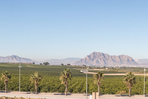 d5fa16f834c7755fa16f834c7ae