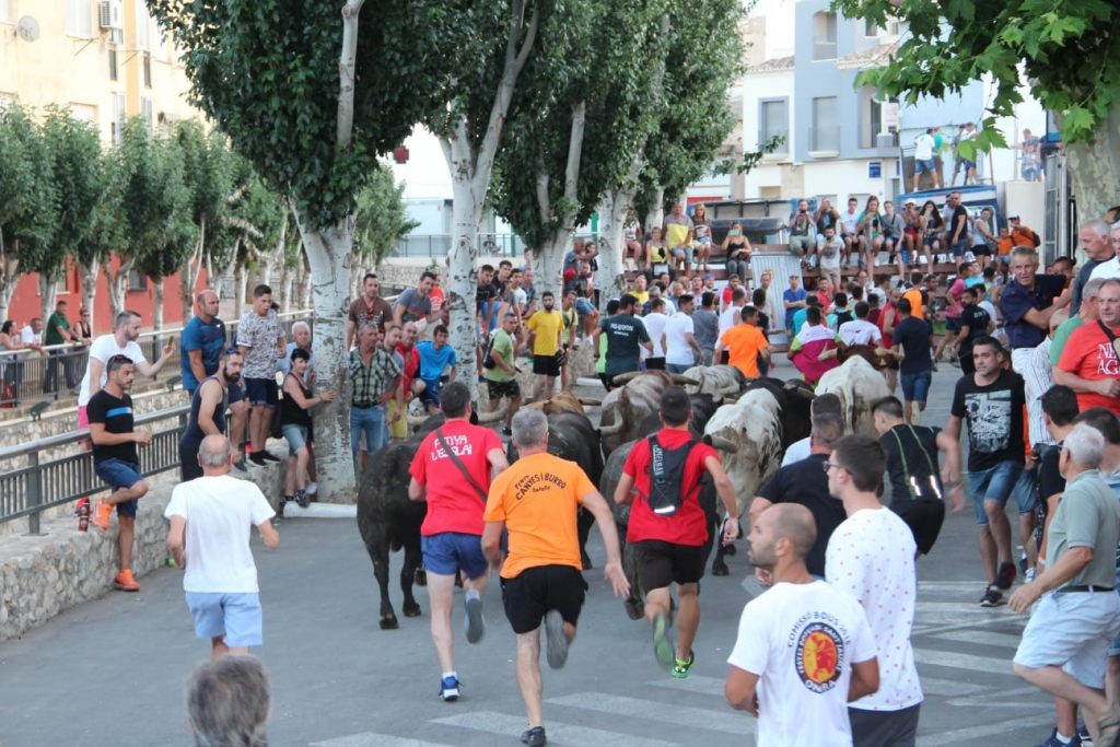 d5fce43773eaac5fce43773eaed