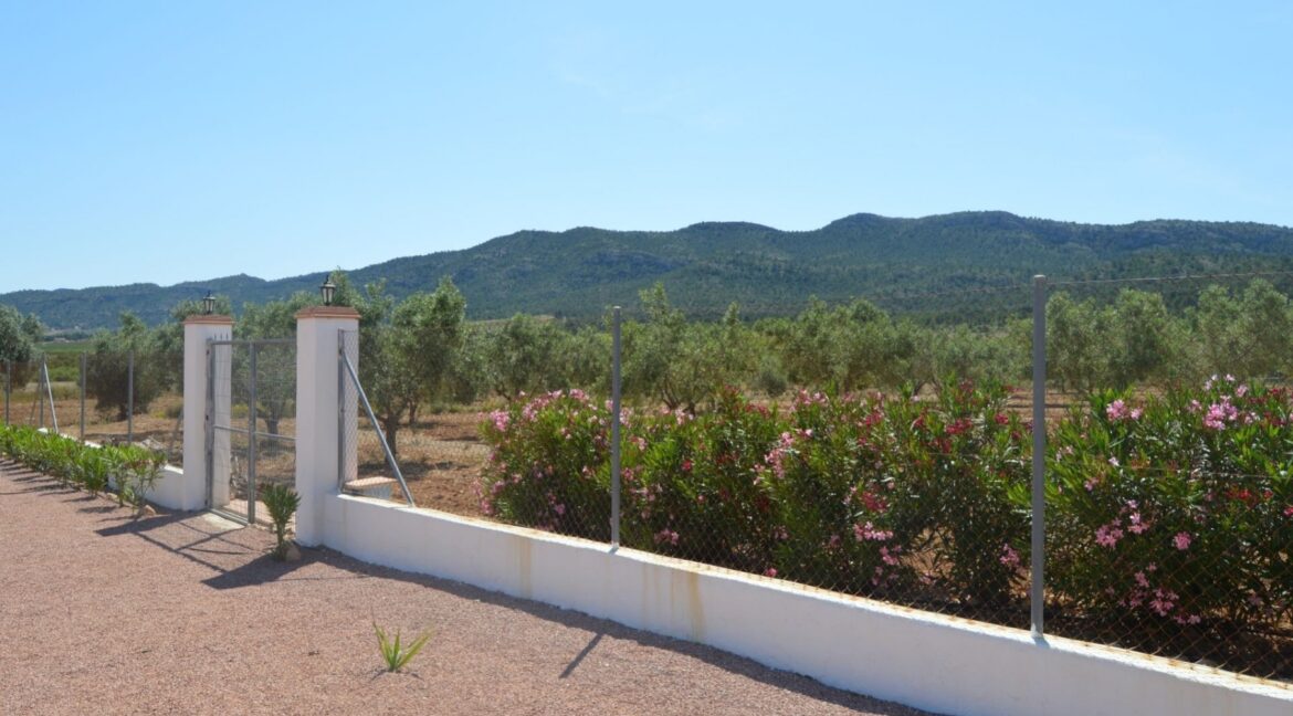 o_1efa75kmq5d1mspm5b1rt2pn44c