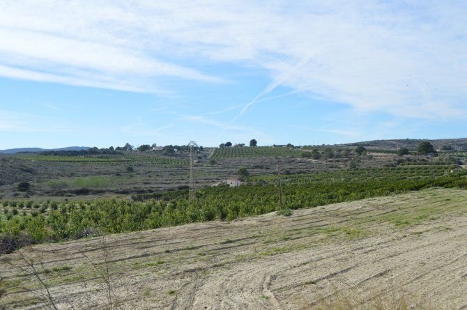 o_1efkk2vfu1n801691khc4uppn126