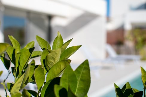 o_1eouk89oscvvraq9lv132s1i1s2o