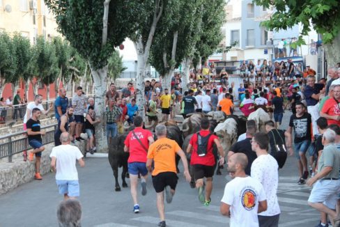 o_1eouqhalf1jsnsr91ucl62hsf31i